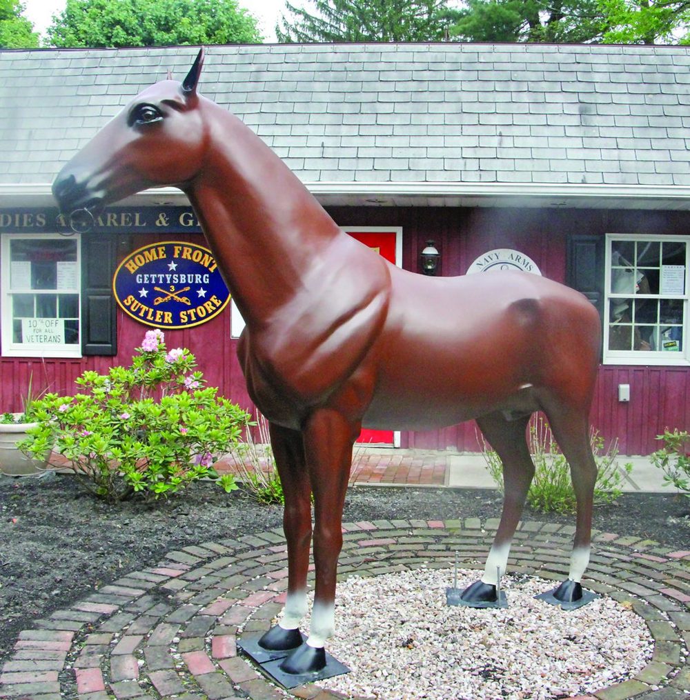 ‘Ned The Horse’ Returns Home