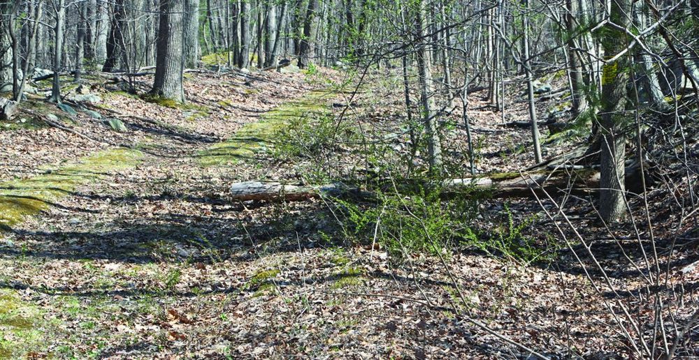 Historic Wagon Road Preserved In Blue Ridge, Penn.