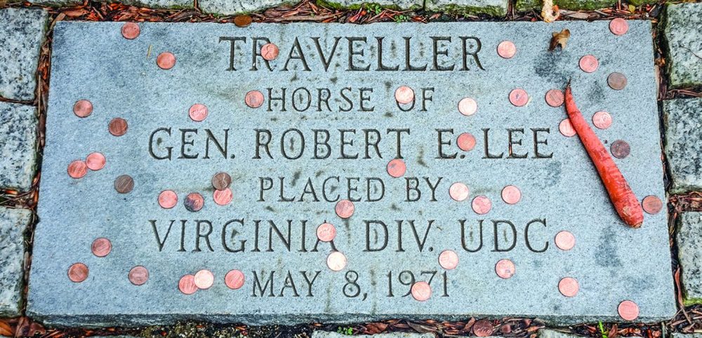 A Tale Of Two Famous War Horses