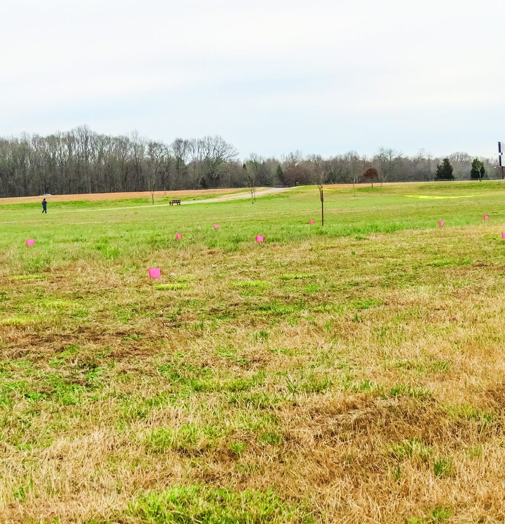 Parker’s Crossroads Cemetery And Confederate Grave Site
