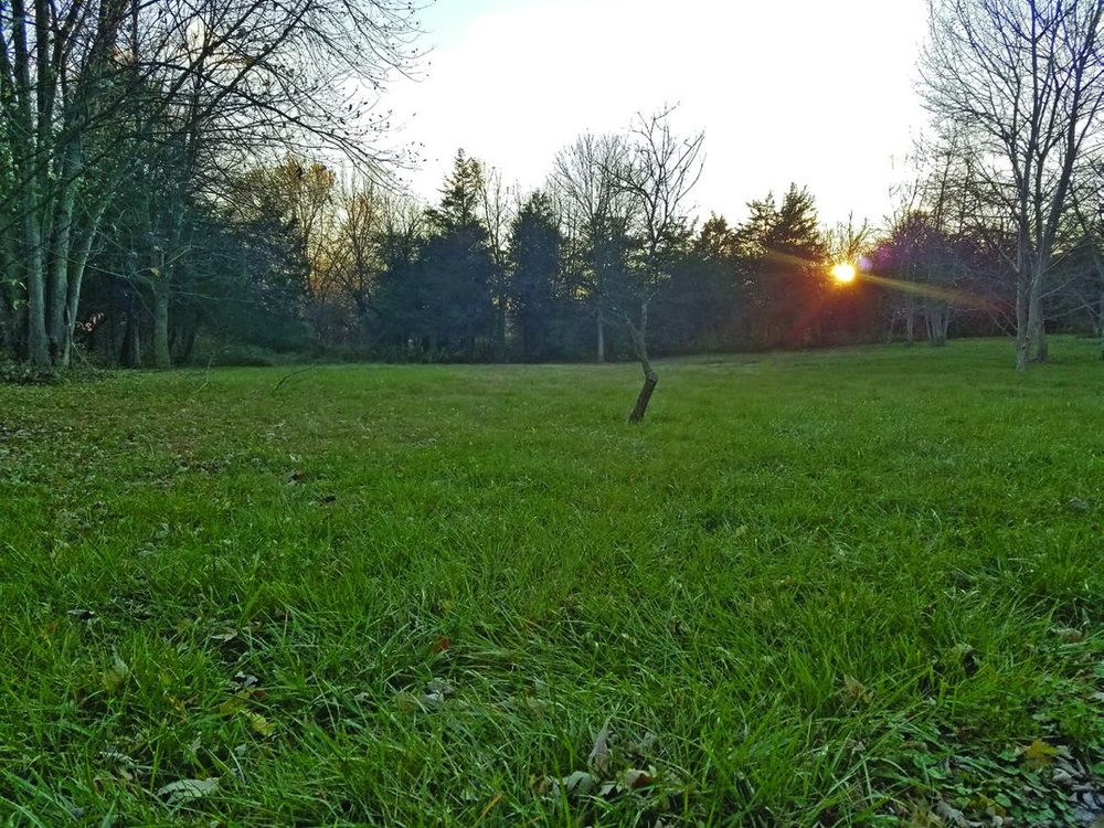 Battlefields Foundation Announces Preservation Victory at New Market Battlefield