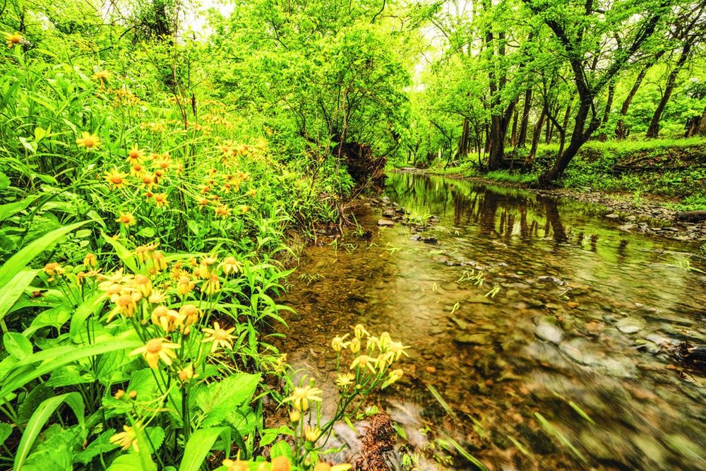 American Battlefield Trust Reaches Historic Milestone: 50,000 Acres Of Hallowed Ground Saved!