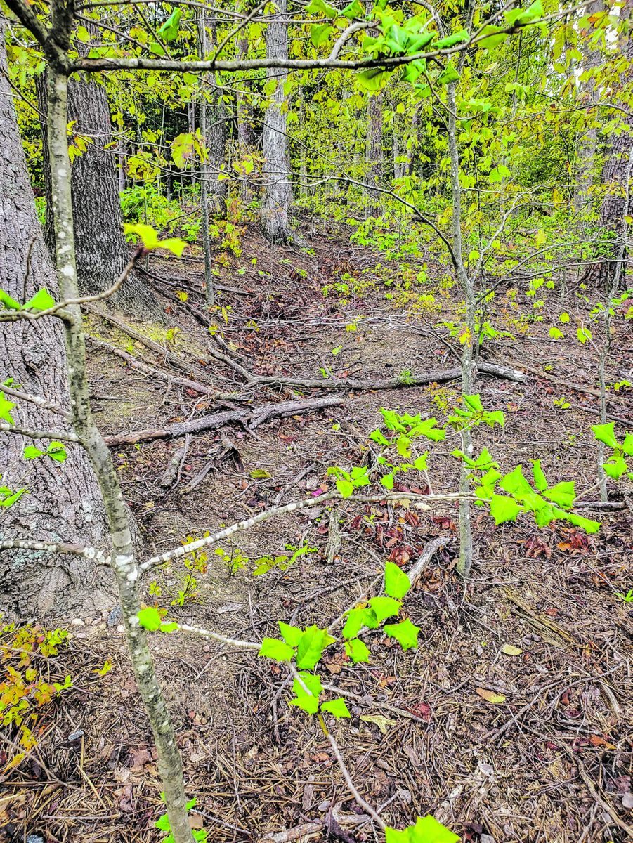 CVBT Preserves Land on Three Battlefields