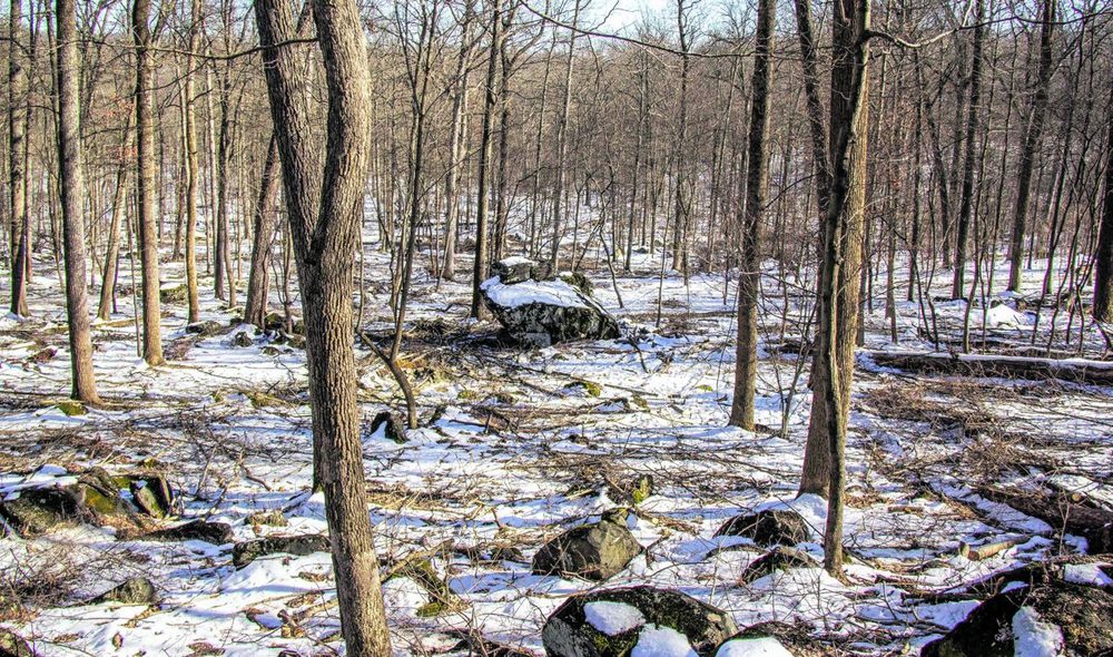 A New Initiative at Gettysburg: Rehabilitating Culp’s Hill