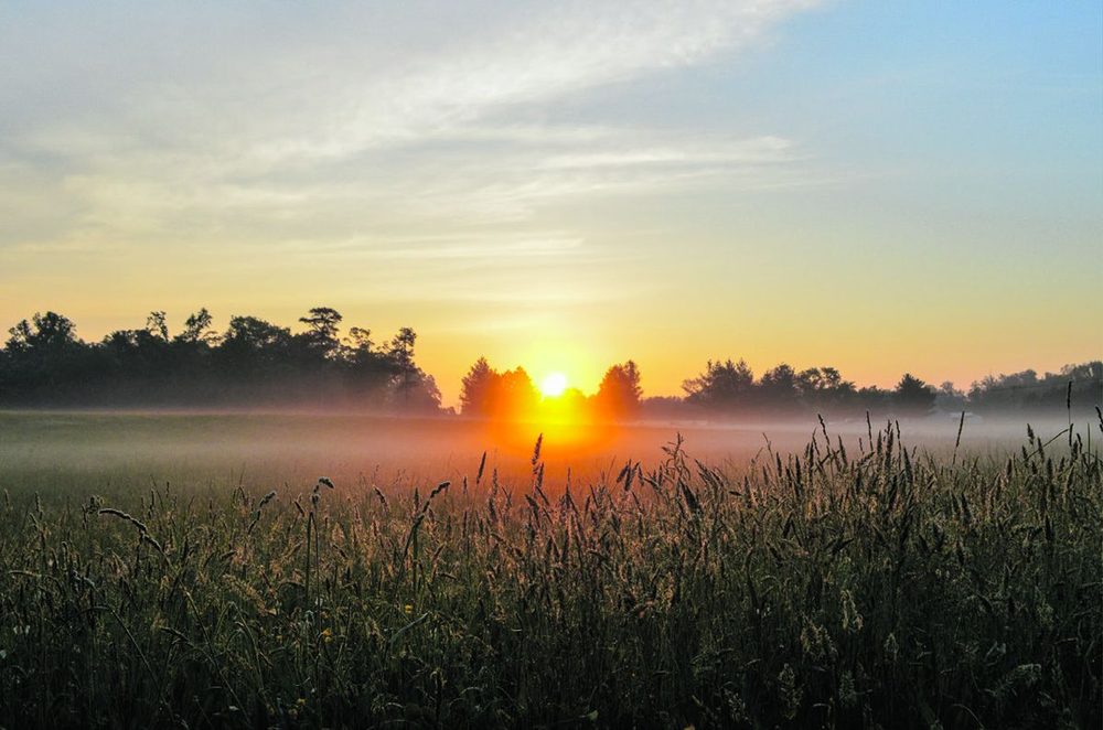 American Battlefield Trust — November 2021